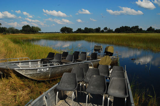 Photo du delta Okavango