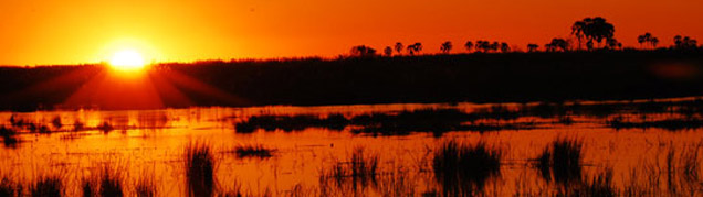 Safari Delta de l'Okavango luxe