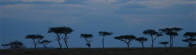 Safari Lac Nakuru luxe