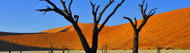 Safari Namib luxe