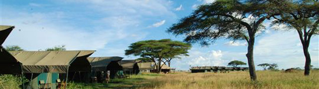 Safari Tarangire luxe