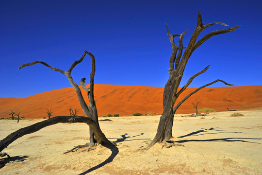 Photo de paysage - Namib