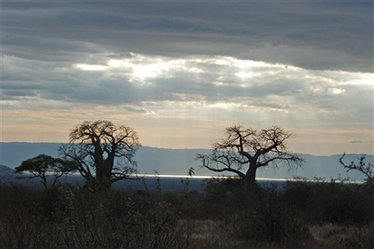 Photo de paysage de Tanzanie