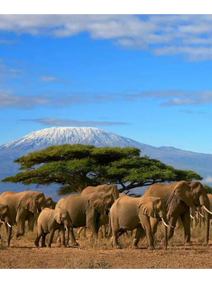 Safari Kenya Luxe